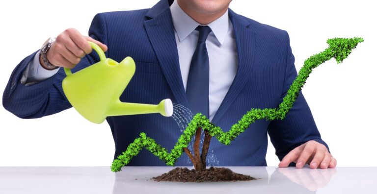 Globalne pomysły na ekologiczny biznes – 5 najciekawszych propozycji
